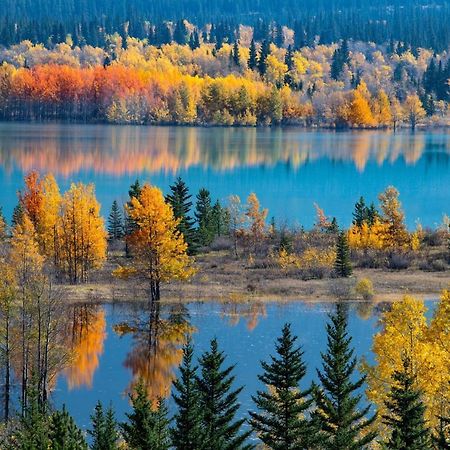 Sunny Tranquil Woods Turret In Falcon Crest Lodge Canmore Dış mekan fotoğraf