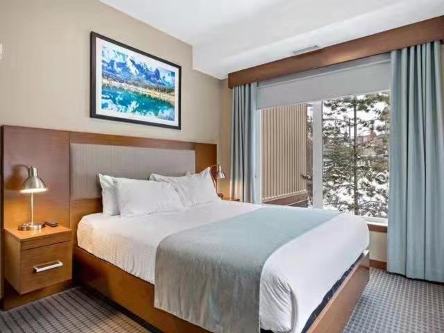 Sunny Tranquil Woods Turret In Falcon Crest Lodge Canmore Dış mekan fotoğraf