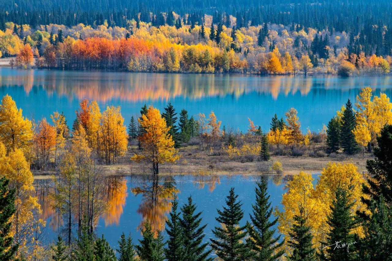 Sunny Tranquil Woods Turret In Falcon Crest Lodge Canmore Dış mekan fotoğraf